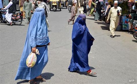big law reddit|Taliban Rejects UN Criticism Of Morality Law As Insult To Islamic .